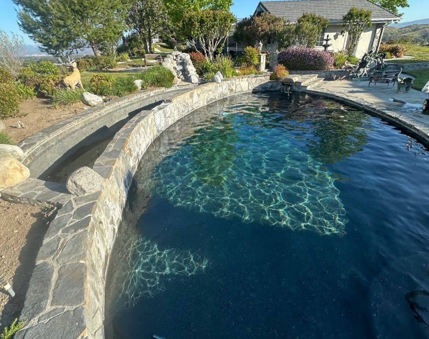 Pool Cleaning Near Me